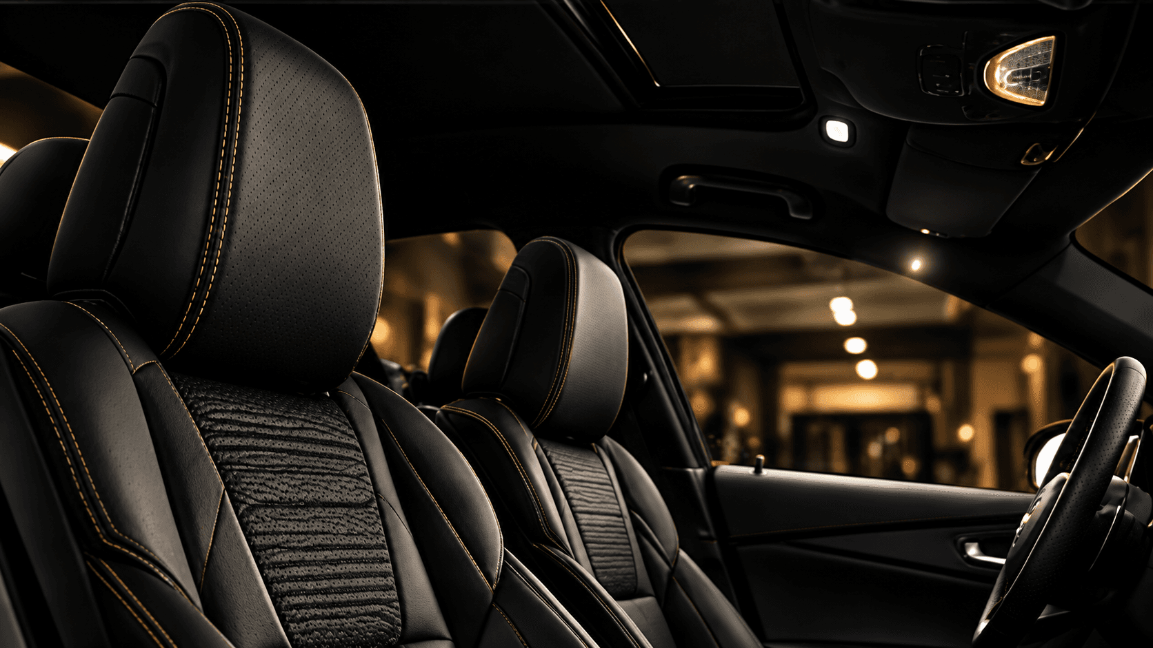 Higienização Interior